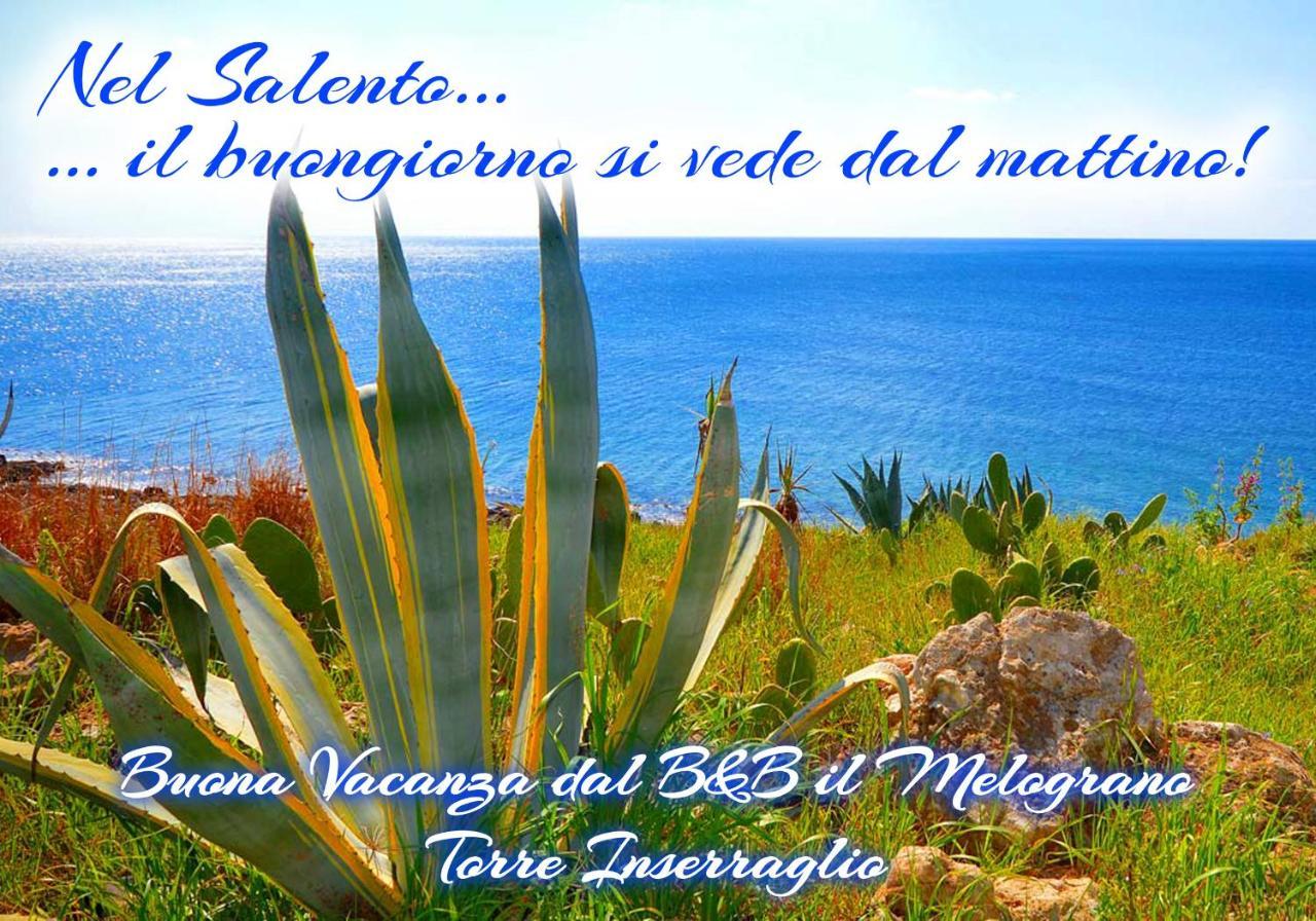 B&B Il Melograno Salento Torre Inserraglio Exteriér fotografie